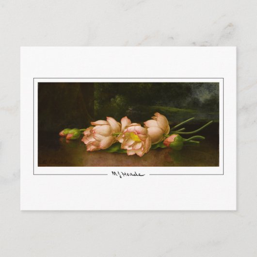 Martin Johnson Heade #34 - Kunstpostkaart Briefkaart (Voorkant)