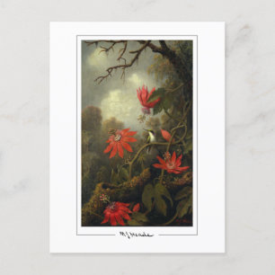 Martin Johnson Heade #36 - Fine Art Briefkaart