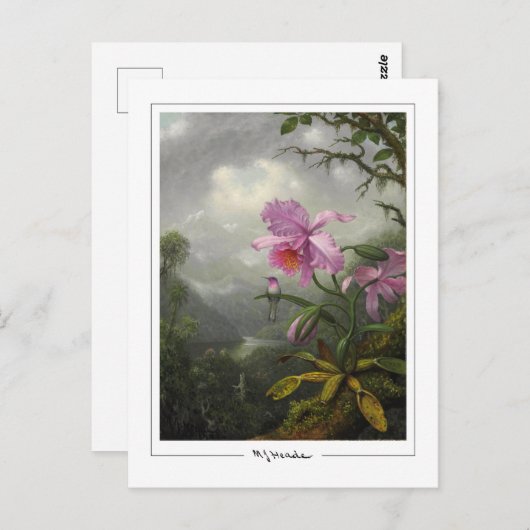 Martin Johnson Heade #4 - Fine Art Briefkaart (Voorkant / Achterkant)