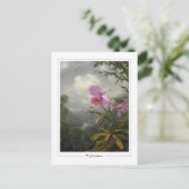Martin Johnson Heade #4 - Kunstkaart Briefkaart (Staand voorkant)