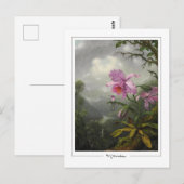 Martin Johnson Heade #4 - Kunstkaart Briefkaart (Voorkant / Achterkant)