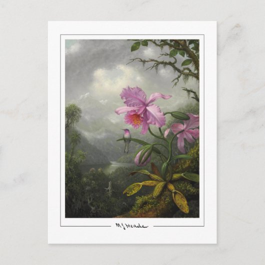 Martin Johnson Heade #4 - Kunstkaart Briefkaart (Voorkant)