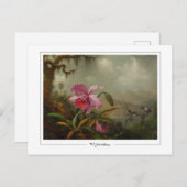 Martin Johnson Heade #51 - Fine Art Briefkaart (Voorkant / Achterkant)