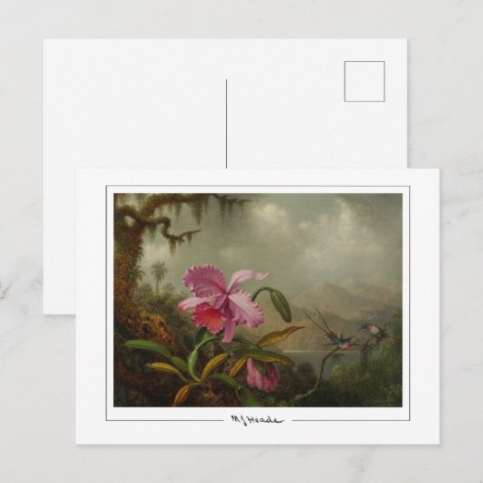 Martin Johnson Heade #51 - Fine Art Briefkaart (Voorkant / Achterkant)