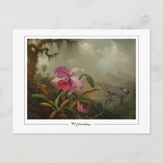 Martin Johnson Heade #51 - Kunstpostkaart Briefkaart (Voorkant)