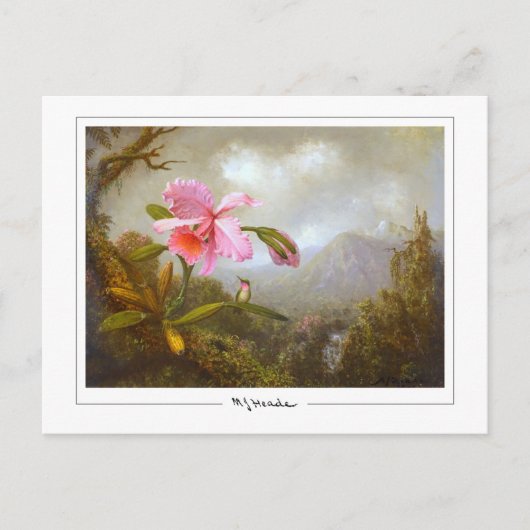 Martin Johnson Heade #8 - Kunstpostkaart Briefkaart (Voorkant)