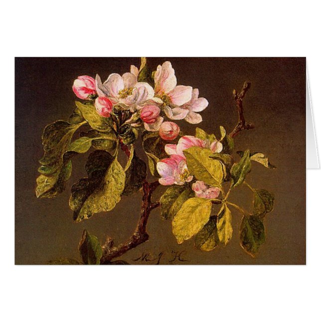 Martin Johnson Heade - Apple Blossom (Voorkant Horizontaal)