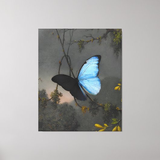 MARTIN JOHNSON HEADE - Blauwe Morfovlinder - Canvas Afdruk (Voorkant)