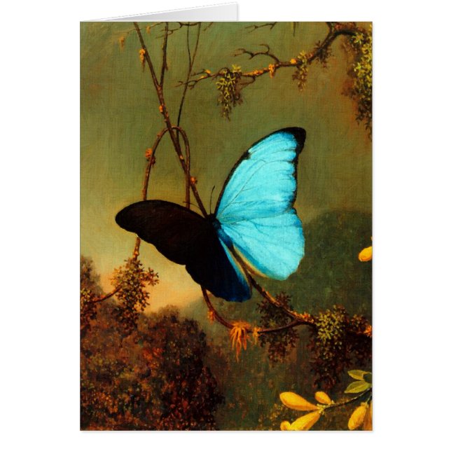 Martin Johnson Heade Blue Morpho Butterfly (Voorkant)