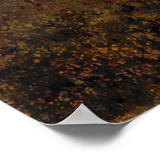 Martin Johnson Heade - Blue Morpho Butterfly Poster (Hoek)