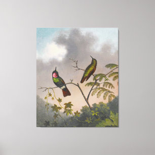 MARTIN JOHNSON HEADE - Braziliaanse robijn - ca. 1 Canvas Afdruk
