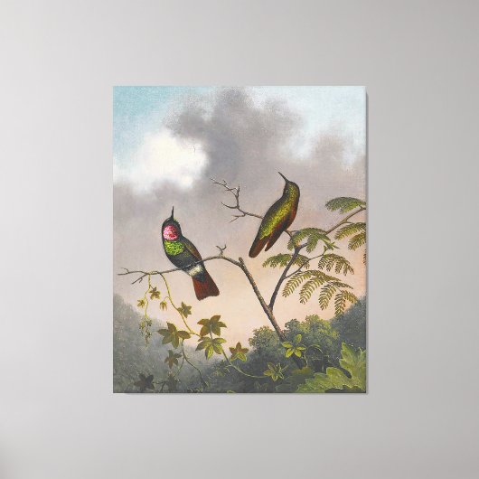 MARTIN JOHNSON HEADE - Braziliaanse robijn - ca. 1 Canvas Afdruk (Voorkant)