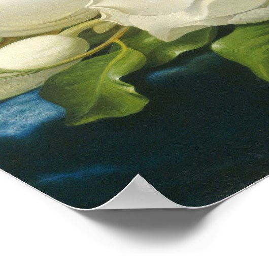 Martin Johnson Heade - Giant Magnolias Poster (Hoek)