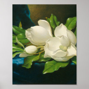 Martin Johnson Heade - Giant Magnolias Poster