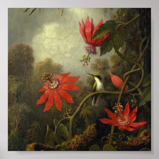 Martin Johnson Heade - Hummingbird and Passion Poster (Voorkant)