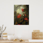 Martin Johnson Heade - Hummingbird Poster (Keuken)
