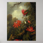 Martin Johnson Heade - Hummingbird Poster (Voorkant)