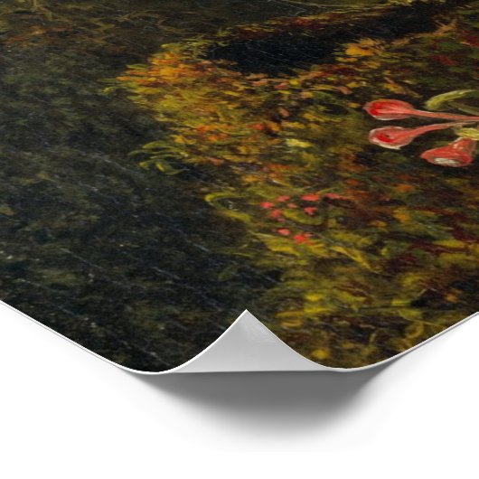 Martin Johnson Heade - Hummingbird Poster (Hoek)