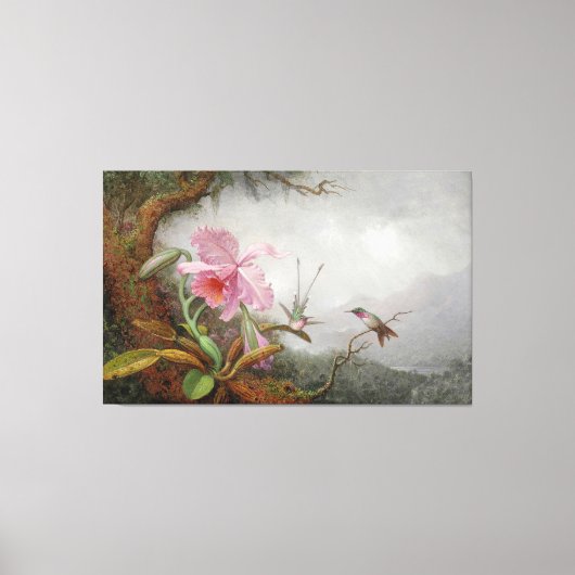MARTIN JOHNSON HEADE - Kolibries en Orchideeën - Canvas Afdruk (Voorkant)