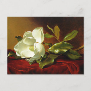 Martin Johnson Heade Magnolia Vintage Briefkaart