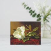 Martin Johnson Heade Magnolia Vintage Briefkaart (Staand voorkant)