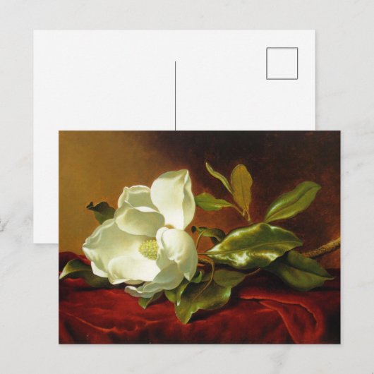 Martin Johnson Heade Magnolia Vintage Briefkaart (Voorkant / Achterkant)