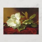 Martin Johnson Heade Magnolia Vintage Briefkaart (Voorkant)