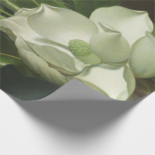 Martin Johnson Heade - Magnolias Cadeaupapier (Hoek)