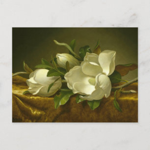 Martin Johnson Heade - Magnolias op Gold Velvet Briefkaart
