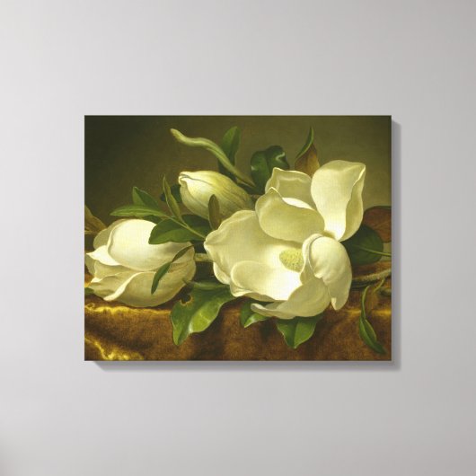 Martin Johnson Heade - Magnolias op Gold Velvet Canvas Afdruk (Voorkant)