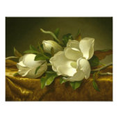 Martin Johnson Heade - Magnolias op Gold Velvet Foto Afdruk (Voorkant)