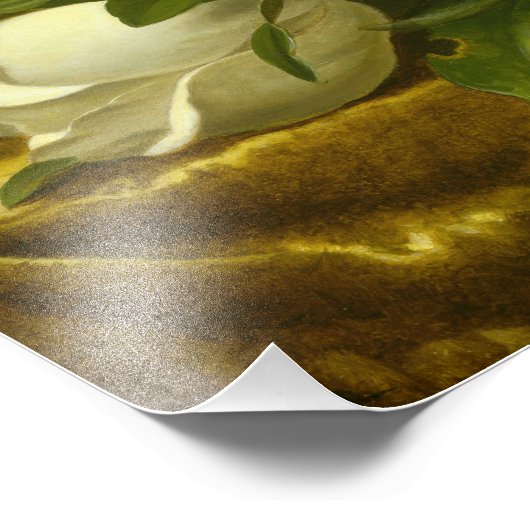 Martin Johnson Heade - Magnolias op Gold Velvet Foto Afdruk (Hoek)