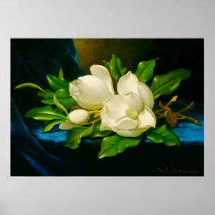 Martin Johnson Heade - Magnolias op Gold Velvet Poster