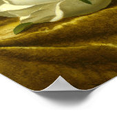 Martin Johnson Heade - Magnolias op Gold Velvet Poster (Hoek)