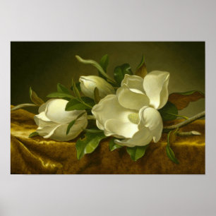 Martin Johnson Heade - Magnolias op Gold Velvet Poster