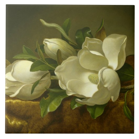 Martin Johnson Heade - Magnolias op Gold Velvet Tegeltje (Voorkant)