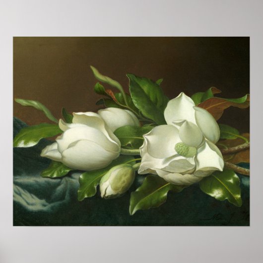 Martin Johnson Heade - Magnolias op Light Blue Poster (Voorkant)