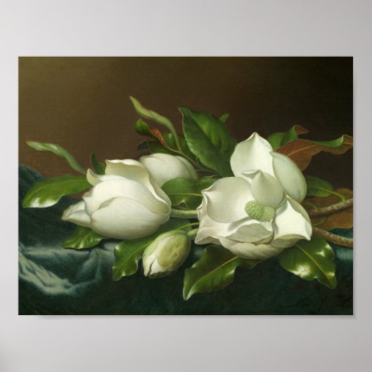 Martin Johnson Heade - Magnolias op Light Blue Poster (Voorkant)