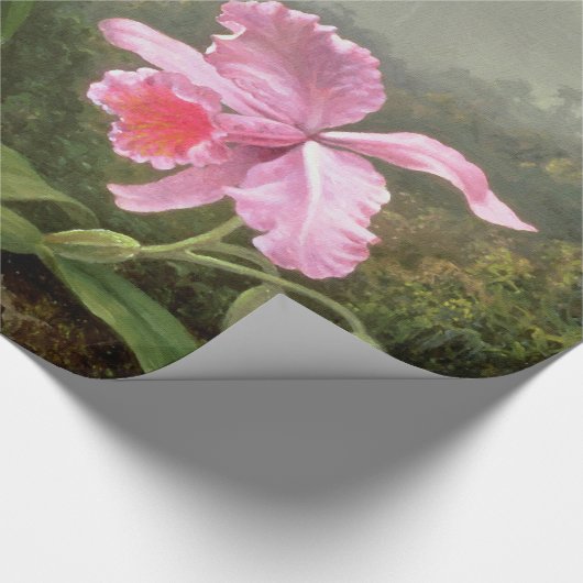 Martin Johnson Heade Orchid en Hummingbird Cadeaupapier (Hoek)