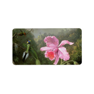 Martin Johnson Heade Orchid en Hummingbird Etiket