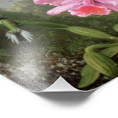 Martin Johnson Heade Orchid en Hummingbird Foto Afdruk (Hoek)