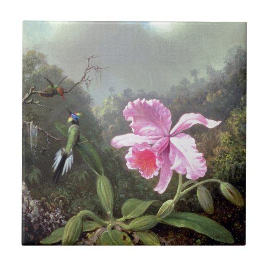 Martin Johnson Heade Orchid en Hummingbird Tegeltje (Voorkant)