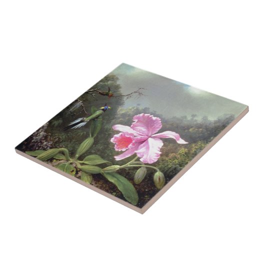 Martin Johnson Heade Orchid en Hummingbird Tegeltje (Zijkant)