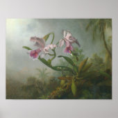 Martin Johnson Heade_Orchid-hummingbird Poster (Voorkant)