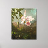 MARTIN JOHNSON HEADE - Orchideeënbloesems - 1873 - Canvas Afdruk (Voorkant)