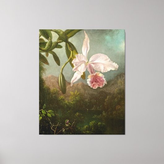 MARTIN JOHNSON HEADE - Orchideeënbloesems - 1873 - Canvas Afdruk (Voorkant)