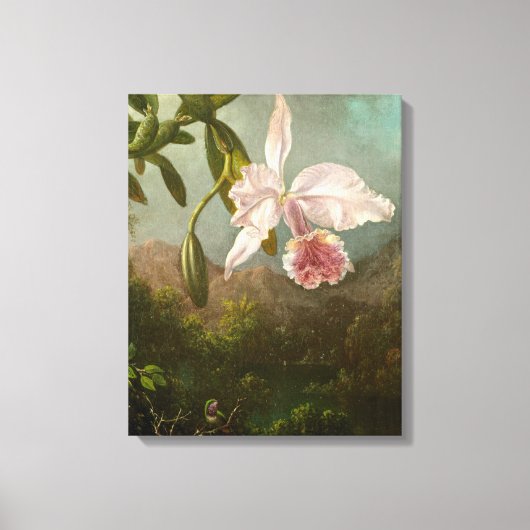 MARTIN JOHNSON HEADE - Orchideeënbloesems - 1873 - Canvas Afdruk (Voorkant)