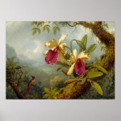 Martin Johnson Heade - Orchids en kolibrie Poster (Voorkant)