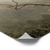 Martin Johnson Heade - Passion Flowers en Humming Poster (Hoek)