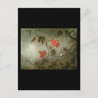 Martin Johnson Heade Passion Flowers en Hummingbi Briefkaart